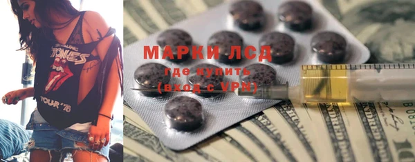 индика Новозыбков