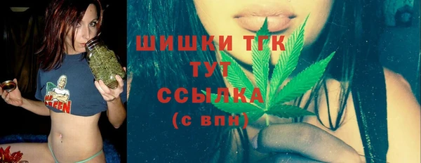 индика Новозыбков