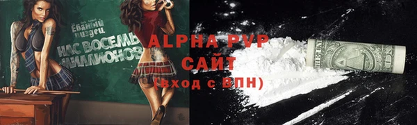 крисы Новокубанск