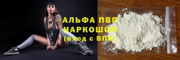 индика Новозыбков