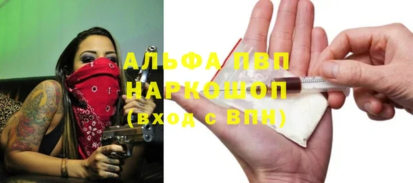 крисы Новокубанск