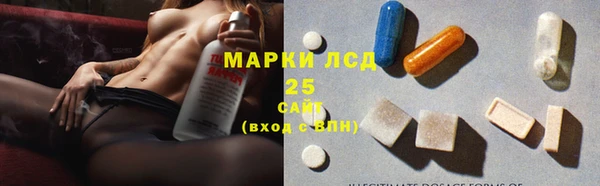 крисы Новокубанск
