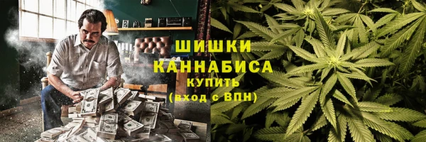 крисы Новокубанск