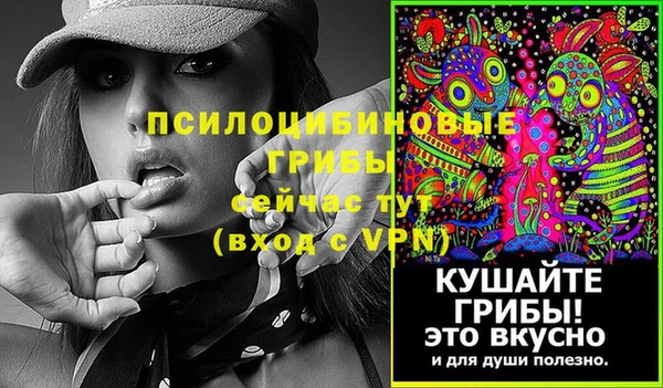 индика Новозыбков