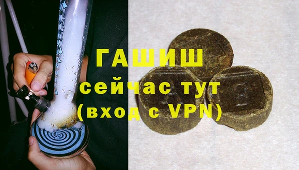 индика Новозыбков