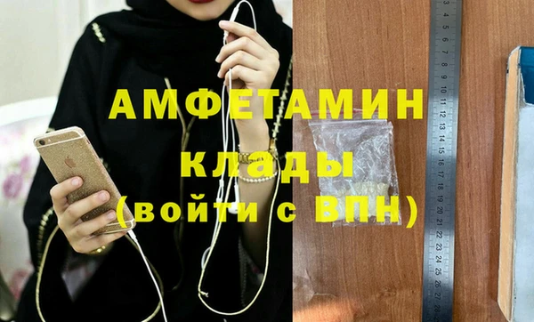индика Новозыбков