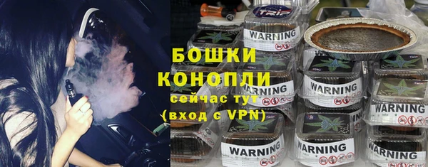 индика Новозыбков