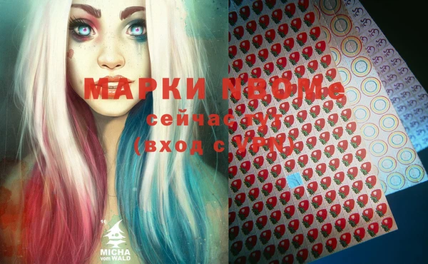 индика Новозыбков