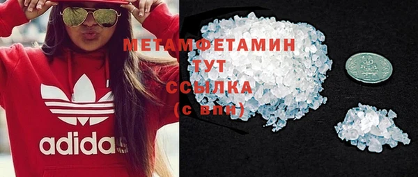 индика Новозыбков