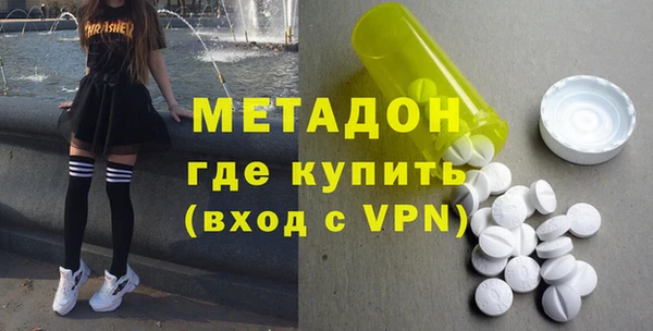 индика Новозыбков
