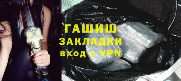 индика Новозыбков