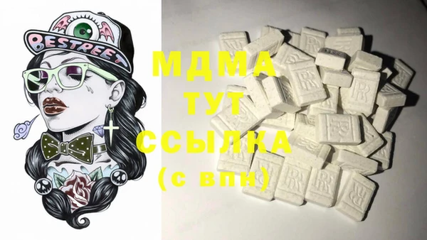 индика Новозыбков