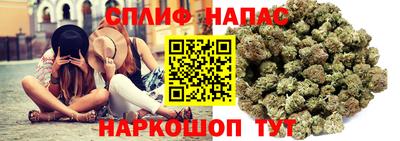 apvp Дубна