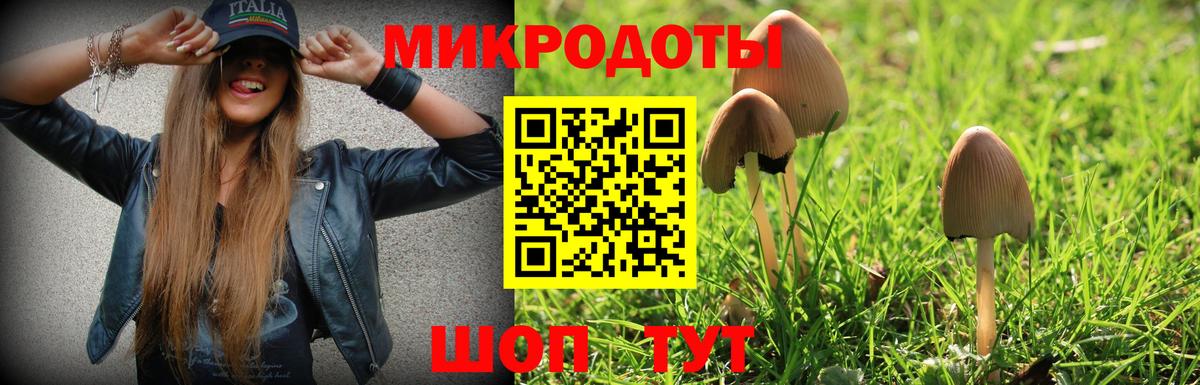 Галлюциногенные грибы MAGIC MUSHROOMS Касимов