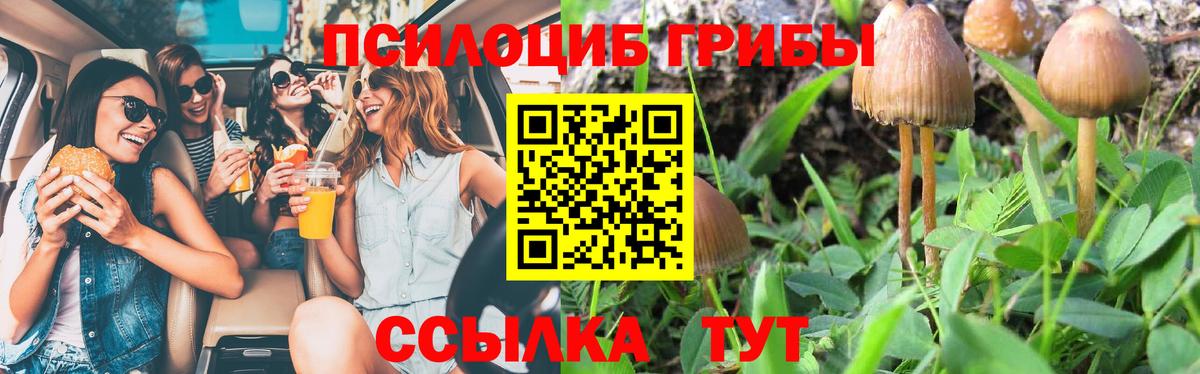 Галлюциногенные грибы GOLDEN TEACHER Касимов